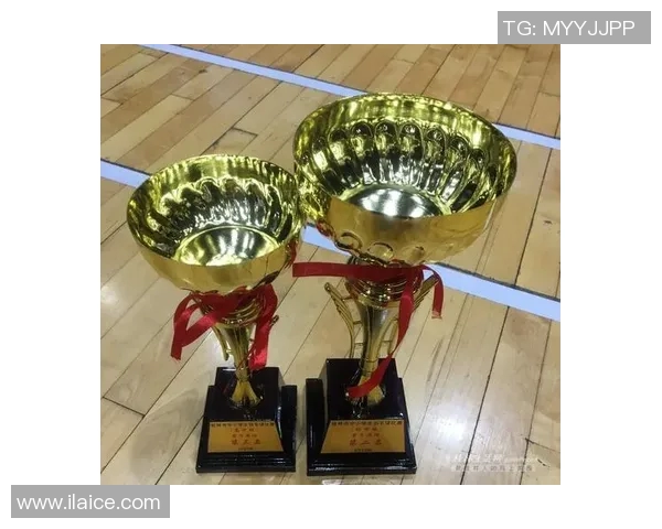 武汉羽毛球队比赛经验分享与提升策略探讨