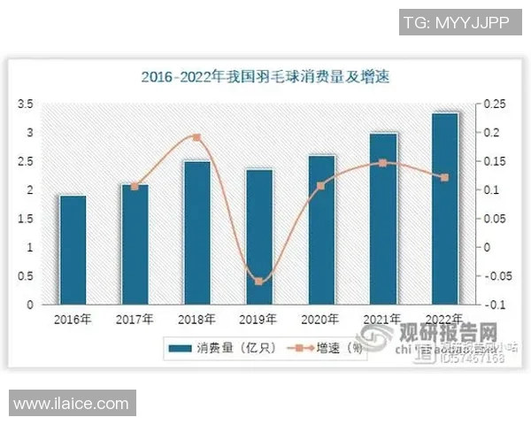 北京羽毛球队状态深度解析与对比分析全面解读
