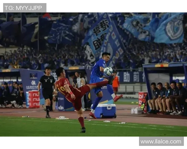 南京排球队战术变革引发热议新策略助力球队冲击更高荣誉