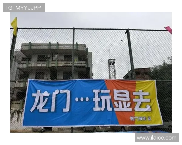 法国网络足球明星联赛盛况空前球迷热情高涨共同见证精彩对决