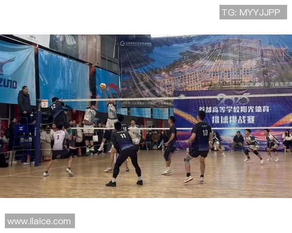 沙滩足球排球的魅力与挑战探索海边运动的乐趣与团队精神