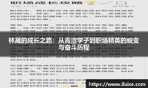 智博19