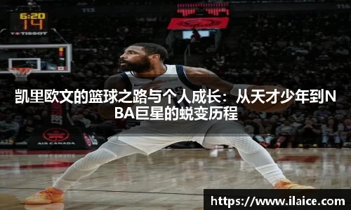 智博19